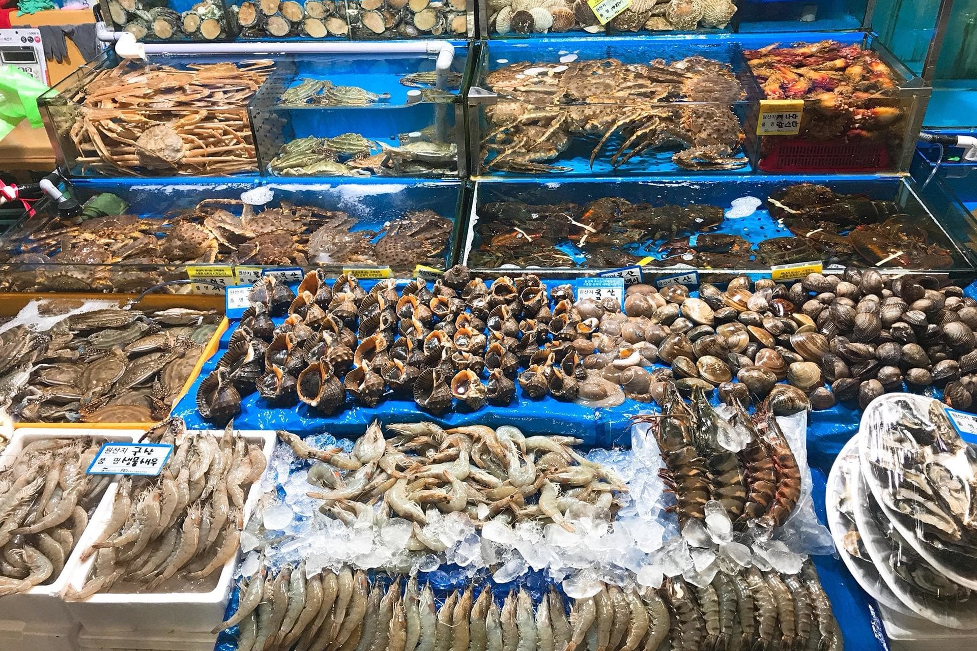 Nuôi dưỡng trí não từ căn bếp: Phụ nữ làm việc trí óc nên ăn gì để luôn minh mẫn?