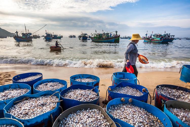 Nét đẹp làng chài