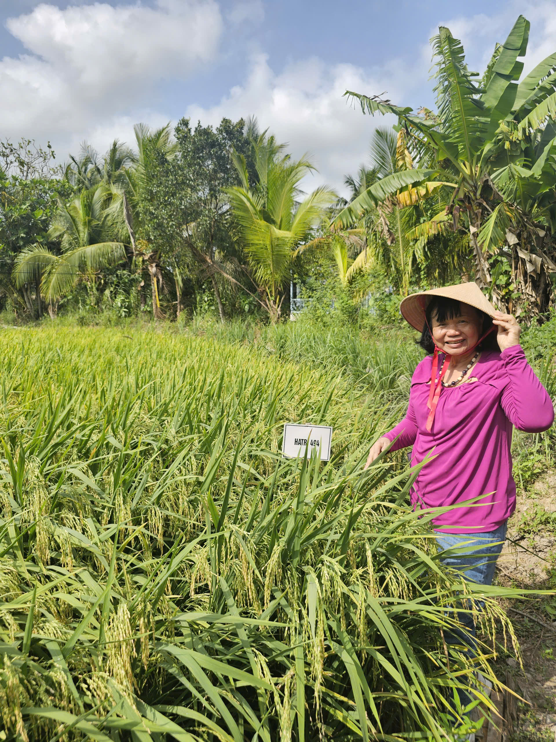 GS.TS Nguyễn Thị Lang, Chi hội trưởng Chi hội NTT vùng Đồng bằng sông Cửu Long