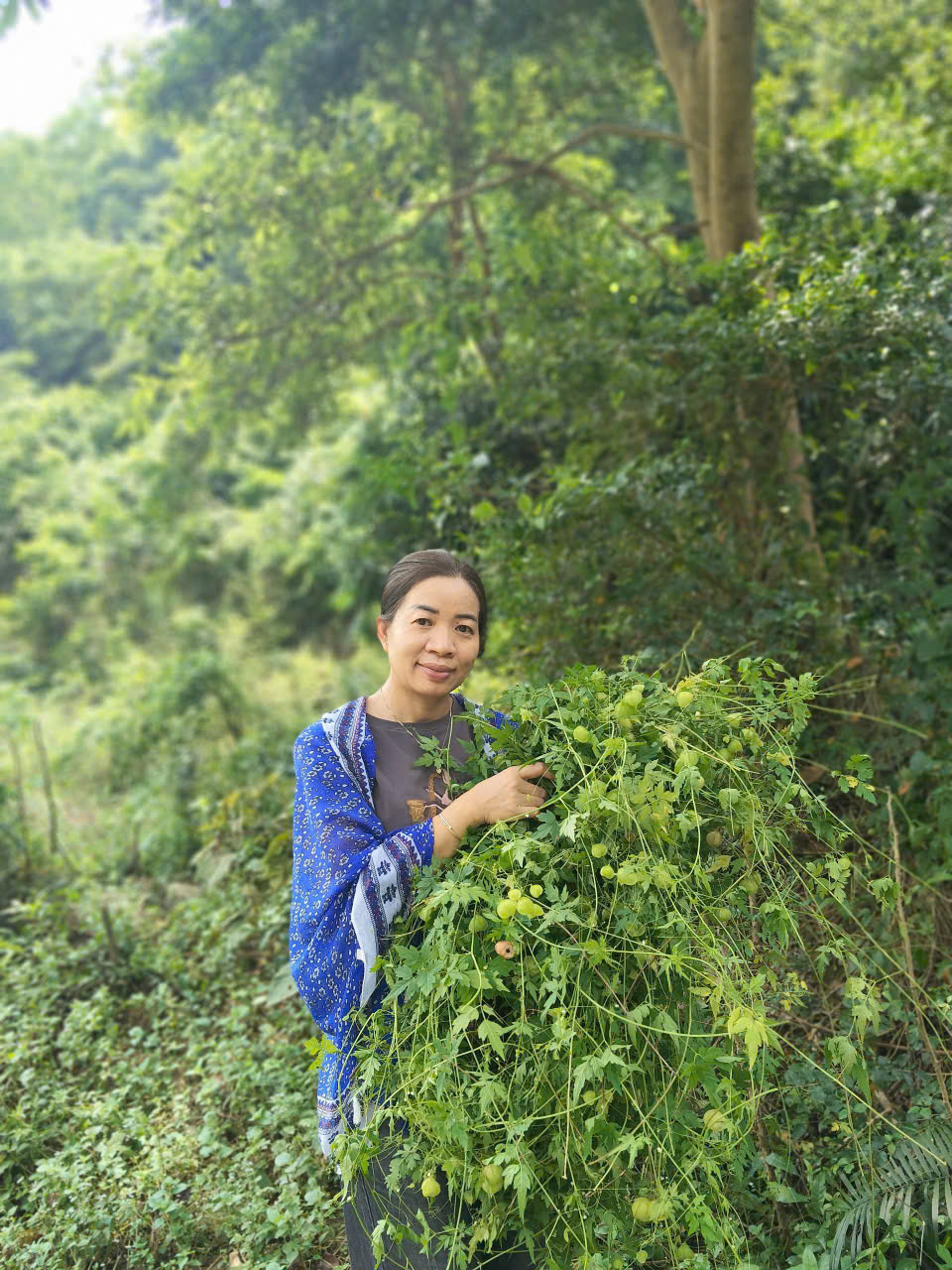 TS. Bá Thị Châm, Viện Hóa học, Viện Hàn Lâm KHoa học và Công nghệ Việt Nam