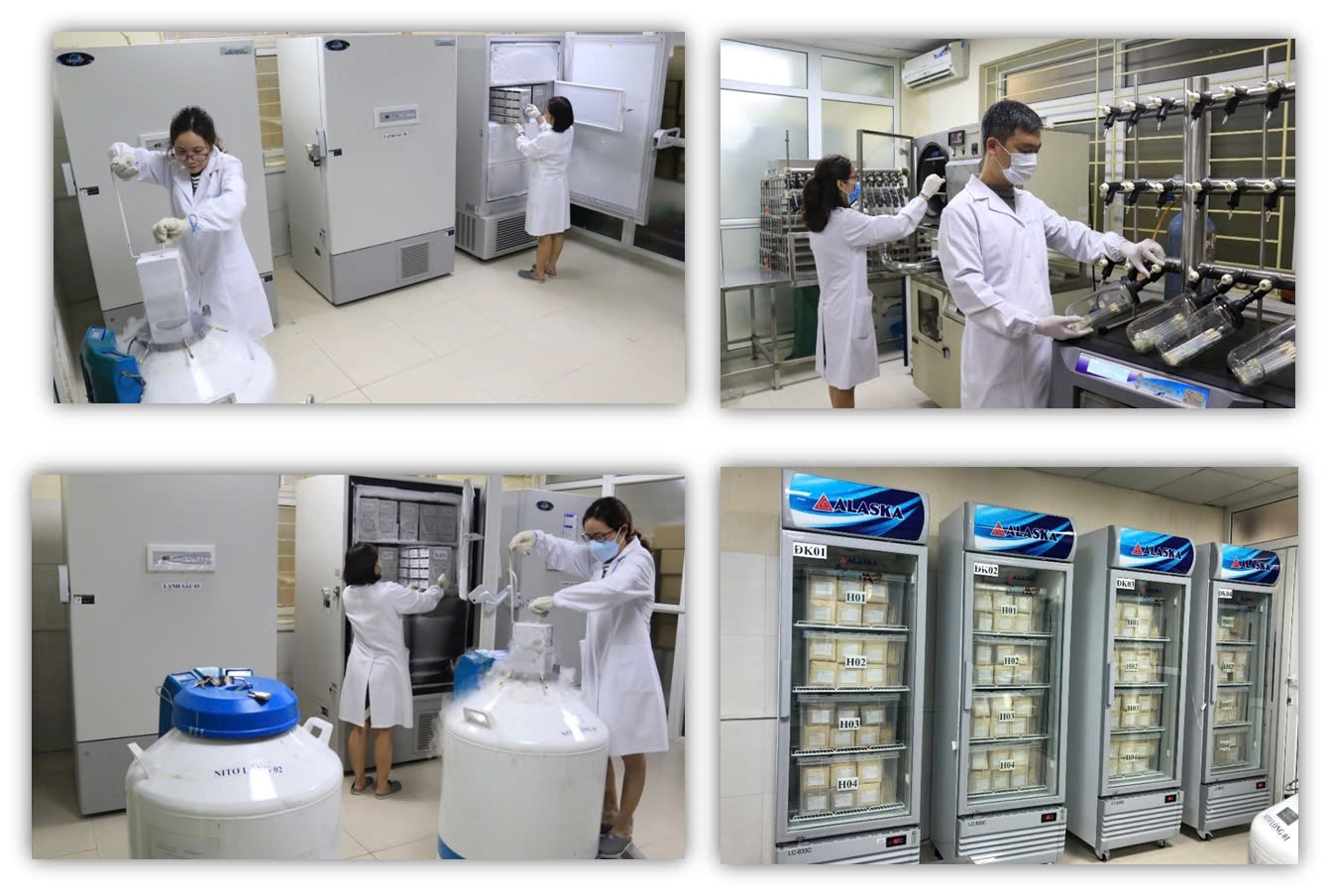 Các hội viên Chi hội NTT Viện tham gia công tác bảo tồn nguồn gen vi sinh vật tại Trung tâm Nguồn gen Vi sinh vật Quốc gia