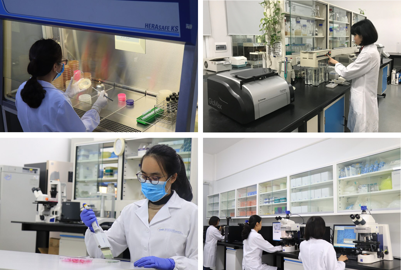 Công tác nghiên cứu khoa học trong phòng thí nghiệm của các nữ trí thức Viện Vi sinh vật và Công nghệ sinh học