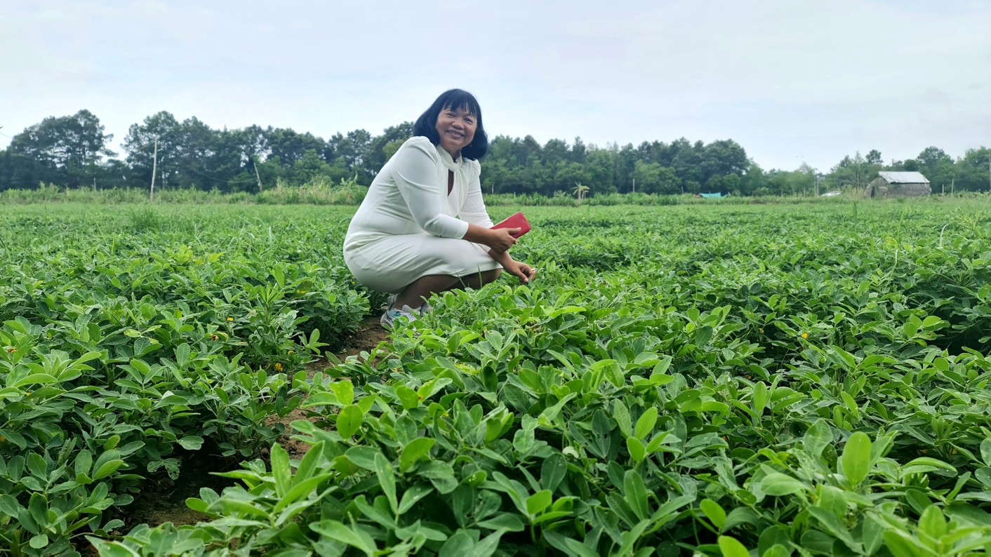 GS.TS Nguyễn Thị Lang tại khu vực trồng cây đậu phộng 
