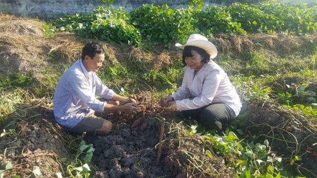 Bốn mô hình nông nghiệp công nghệ cao mở hướng sinh kế cho phụ nữ Đồng bằng sông Cửu Long