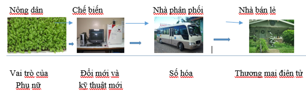 Bốn mô hình nông nghiệp công nghệ cao mở hướng sinh kế cho phụ nữ Đồng bằng sông Cửu Long