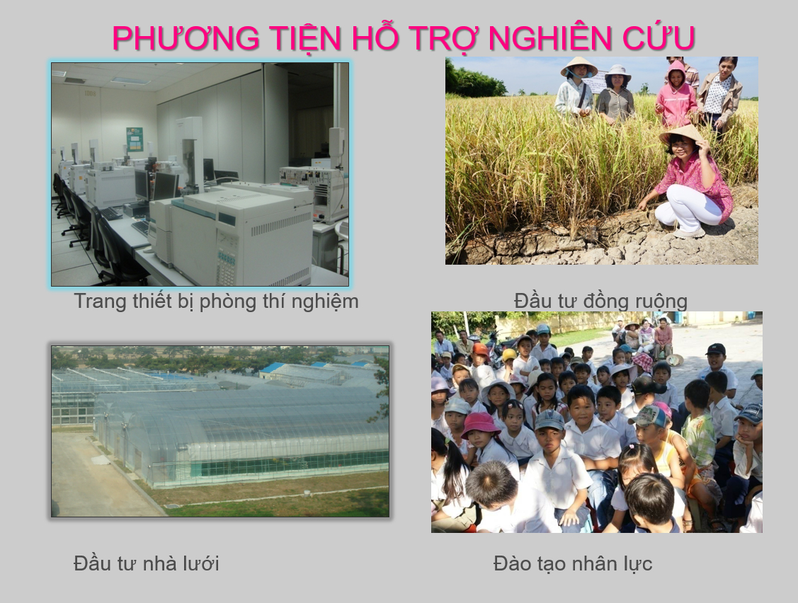 Bốn mô hình nông nghiệp công nghệ cao mở hướng sinh kế cho phụ nữ Đồng bằng sông Cửu Long