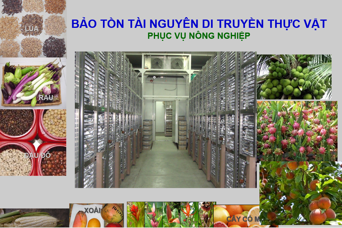 Bốn mô hình nông nghiệp công nghệ cao mở hướng sinh kế cho phụ nữ Đồng bằng sông Cửu Long