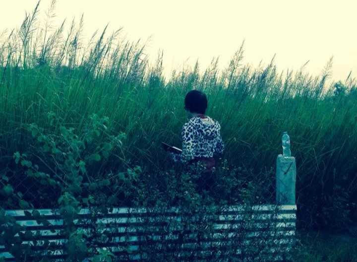 55 tháng bám đất, trồng cỏ và hành trình đưa nghiên cứu môi trường Việt Nam ra quốc tế