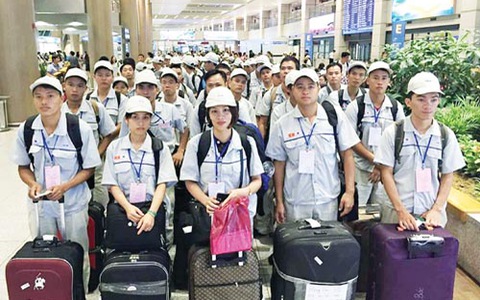 Cục Quản lý lao động xây dựng phương án đưa lao động Việt Nam tại Nhật, Hàn về nước