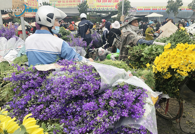 4 trường hợp liên quan chợ hoa Mê Linh đã âm tính