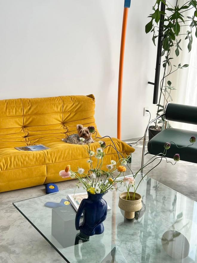 Chiếc sofa vàng làm nổi bật cả căn phòng