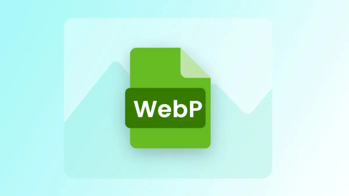 WebP là một định dạng hình ảnh có khả năng nén cao do Google phát triển nhằm tối ưu hóa quá trình lướt web. (Ảnh: Stack Diary)