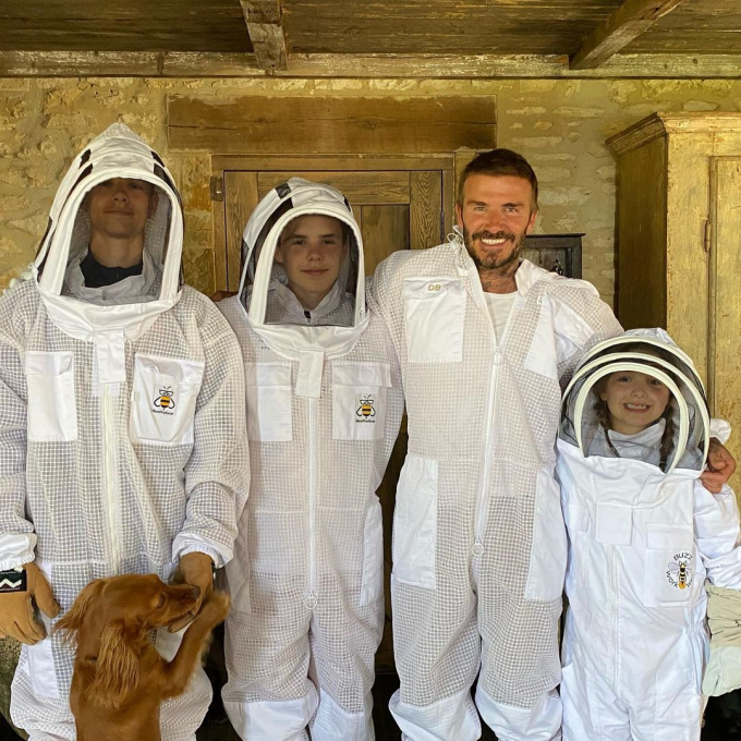 David Beckham còn xây cả nhà máy mini để nuôi và sản xuất mật ong.