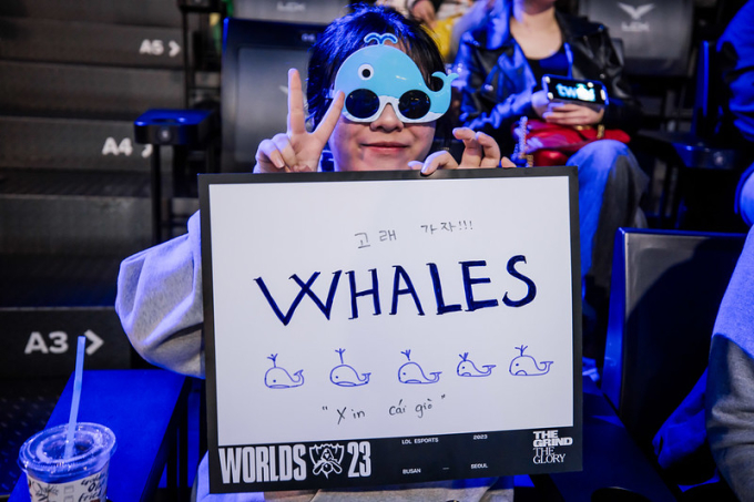 Người hâm mộ Team Whales có mặt tại Hàn Quốc để cổ vũ đội tuyển