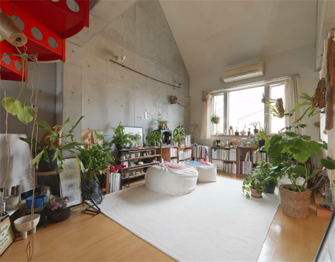 Vợ chồng Nhật Bản rút hết tiền tiết kiệm mua căn nhà thô rộng 58m2 để trồng cây, nội thất cũng tối giản hết mức