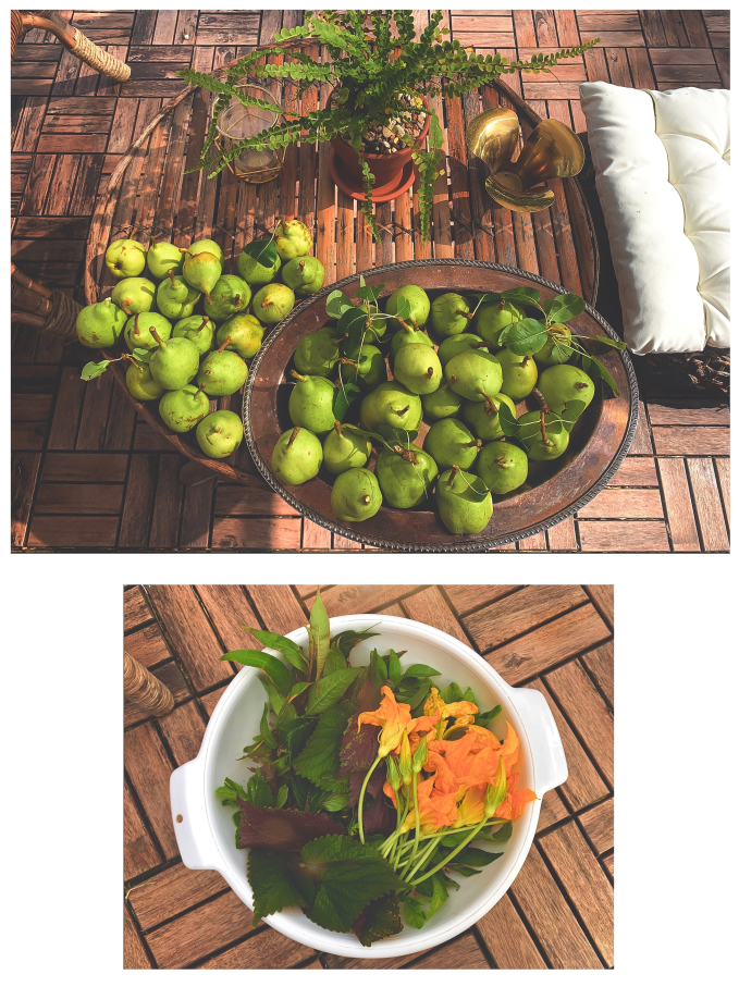 Trong khu vườn của chị Amy Đào có rất nhiều loại rau và cây ăn quả khác nhau.