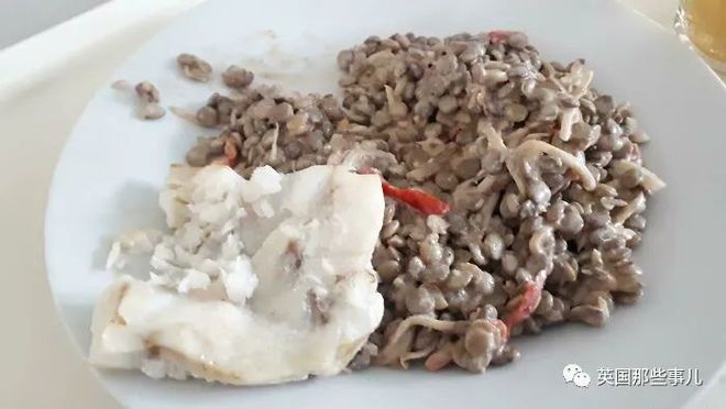 “Czech, bữa trưa ở canteen trường tôi tuần trước: phi lê cá và salad đậu lăng”