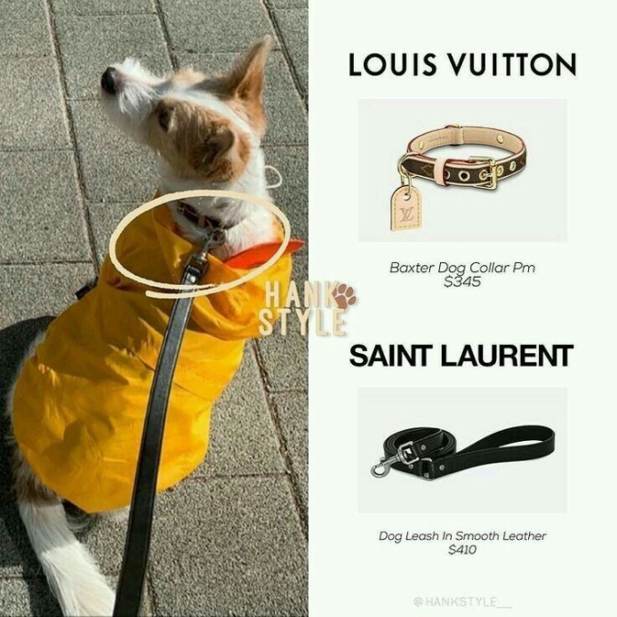 Nơi mua: Louis Vuitton (~ 8 triệu đồng) 