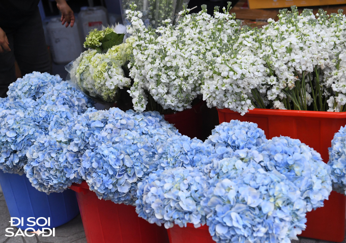 Ước chừng Văn Hậu đã chi hàng trăm triệu cho hoa tươi ở đám cưới ngày mai
