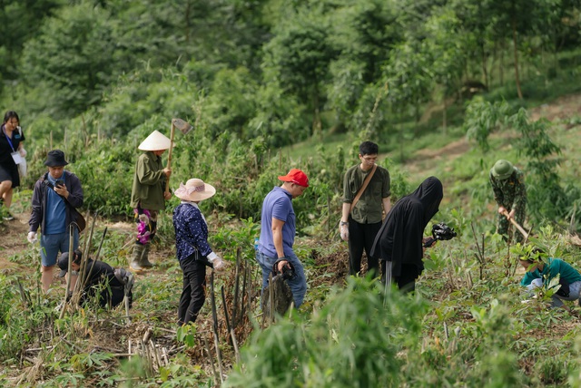 “Ngân hàng cây xanh” TreeBank và câu chuyện lạ: Không cần đất cũng có thể trồng rừng