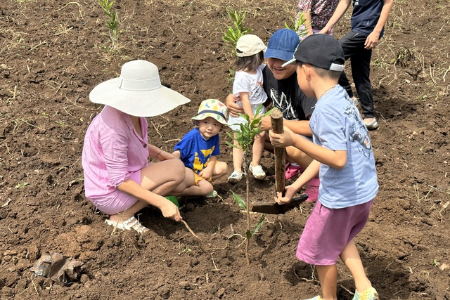 “Ngân hàng cây xanh” TreeBank và câu chuyện lạ: Không cần đất cũng có thể trồng rừng