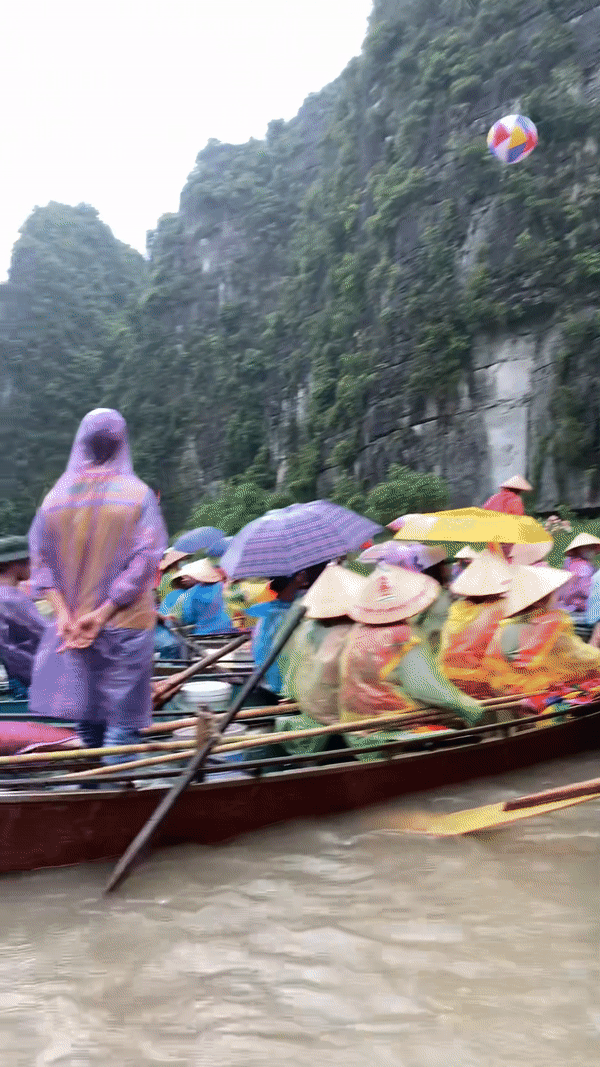 Dù trời mưa nhưng những người lái đò vẫn rất bình tĩnh, chuyên nghiệp đưa du khách đi tham quan.