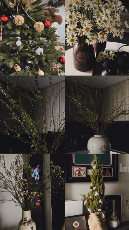 Không gian phòng  nhà Đoàn Văn Hậu tràn ngập cây và hoa