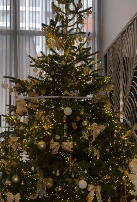 Năm nào, cây thông Noel của vợ chồng Cường Đô La cũng được dân tình chú ý.