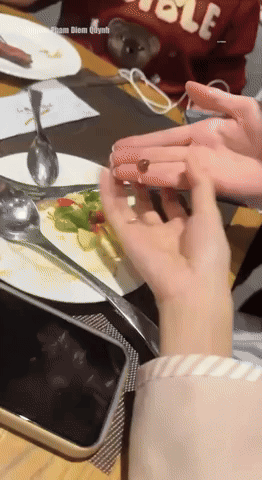 Cận cảnh chú ốc sên nhỏ trong đĩa salad của cô bạn. 