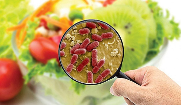 Vi khuẩn Salmonella có trong cơm gà Trâm Anh nguy hiểm thế nào?