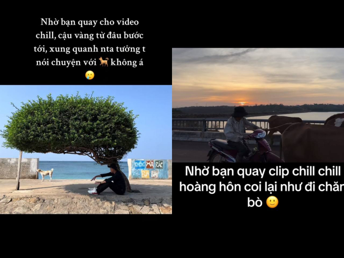 Không biết chill kiểu gì mà người thành ngồi nói chuyện với cún, người thành chăn bò... 