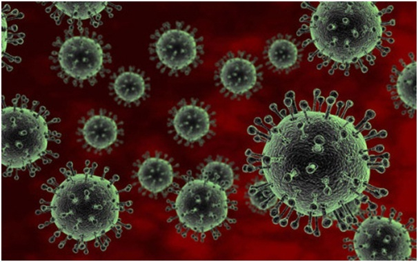 Hình ảnh mô phỏng virus cúm A H5N1