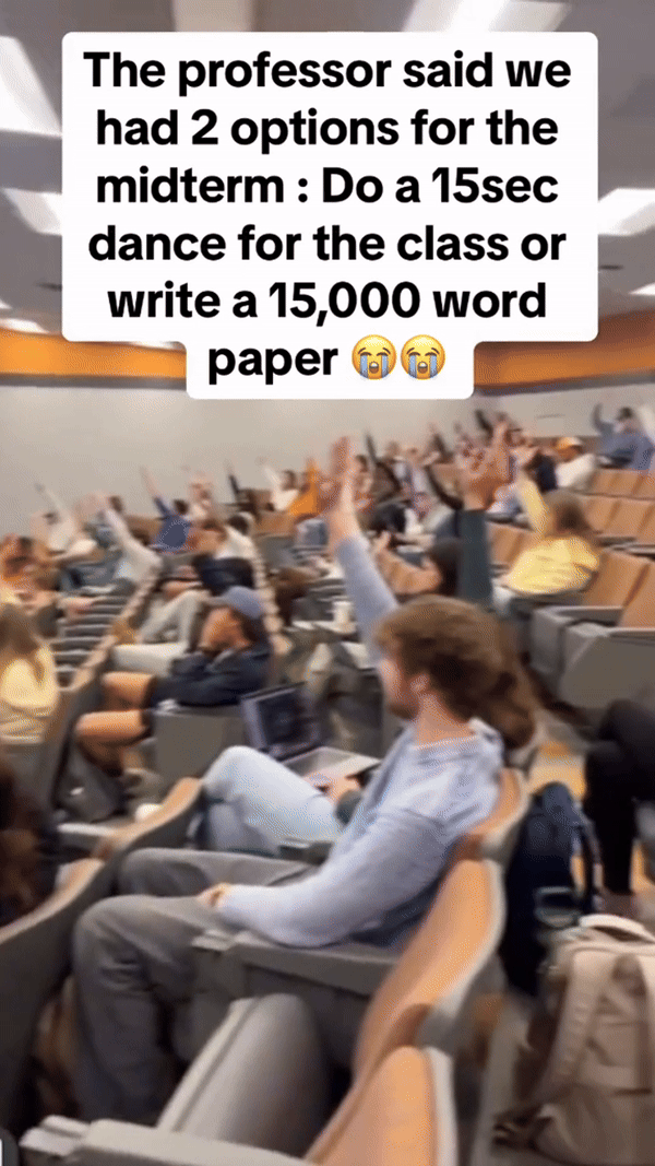 Ngược lại, cả lớp chọn viết bài luận 15.000 nghìn chữ
