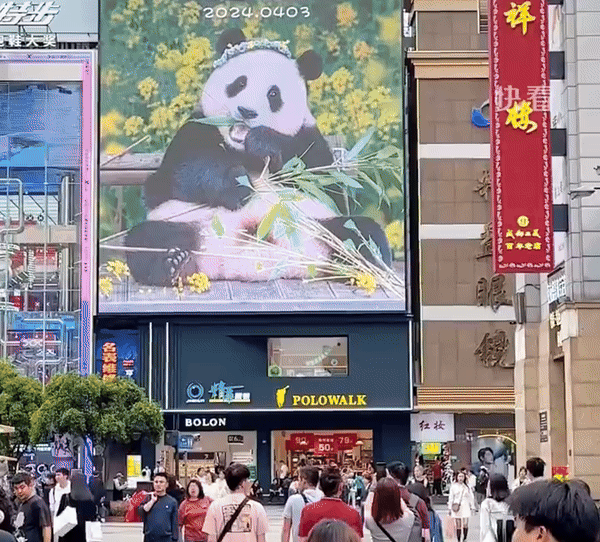 Giống như ở Hàn Quốc, các biển quảng cáo có hình của Fubao đã được người hâm mộ dựng ở khắp nơi 