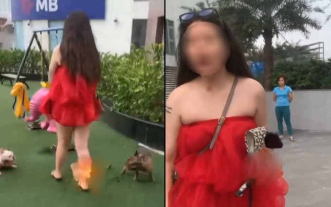 Bị nhắc nhở khi thú cưng phóng uế tại khu vui chơi trẻ em ở Hà Nội, cô gái vẫn cố cãi: 