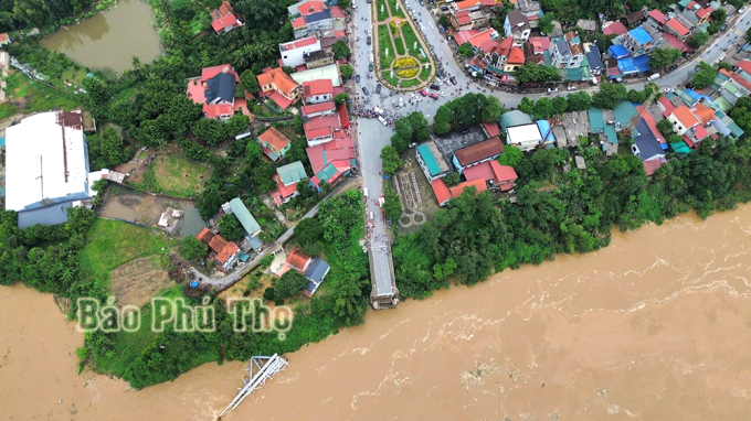  Ảnh: Báo Phú Thọ