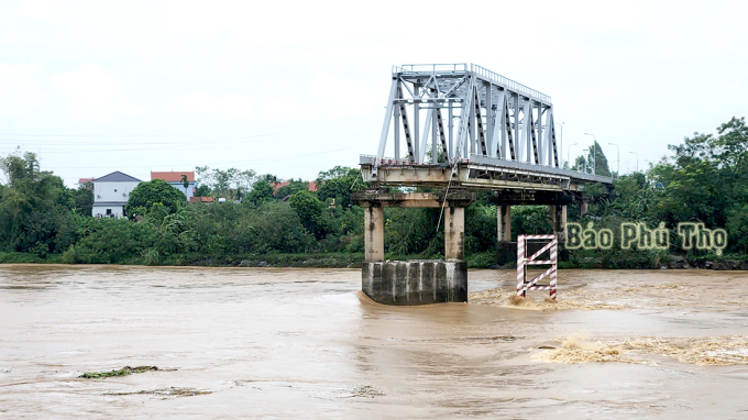 2 nhịp thép của cầu Phong Châu đã sập sập xuống dòng nước lũ đục ngầu, có người và phương tiện rơi xuống sông. Ảnh: Báo Phú Thọ