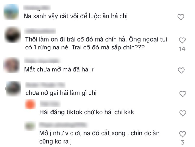 Bình luận của một số cư dân mạng (Ảnh chụp màn hình)