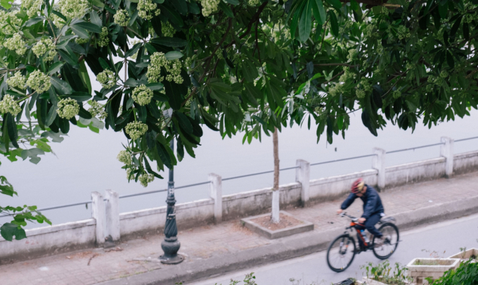 Chưa đủ ám ảnh mùi hoa sữa, nhiều nơi thẳng tay cho vào đồ ăn, nước uống khiến dân tình nhìn thôi đã muốn 