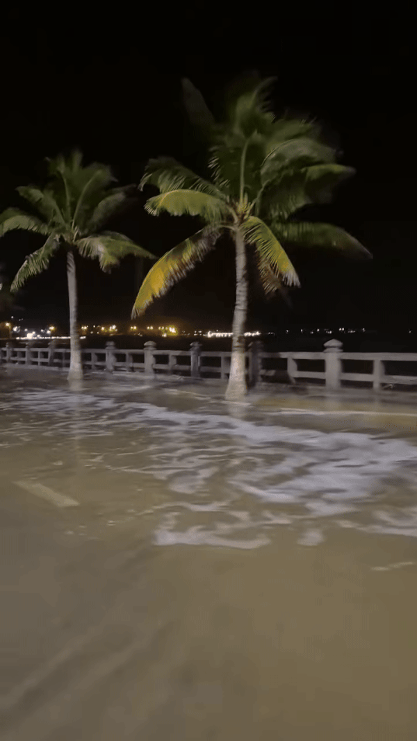 (Nguồn: Ngọc Lâm)