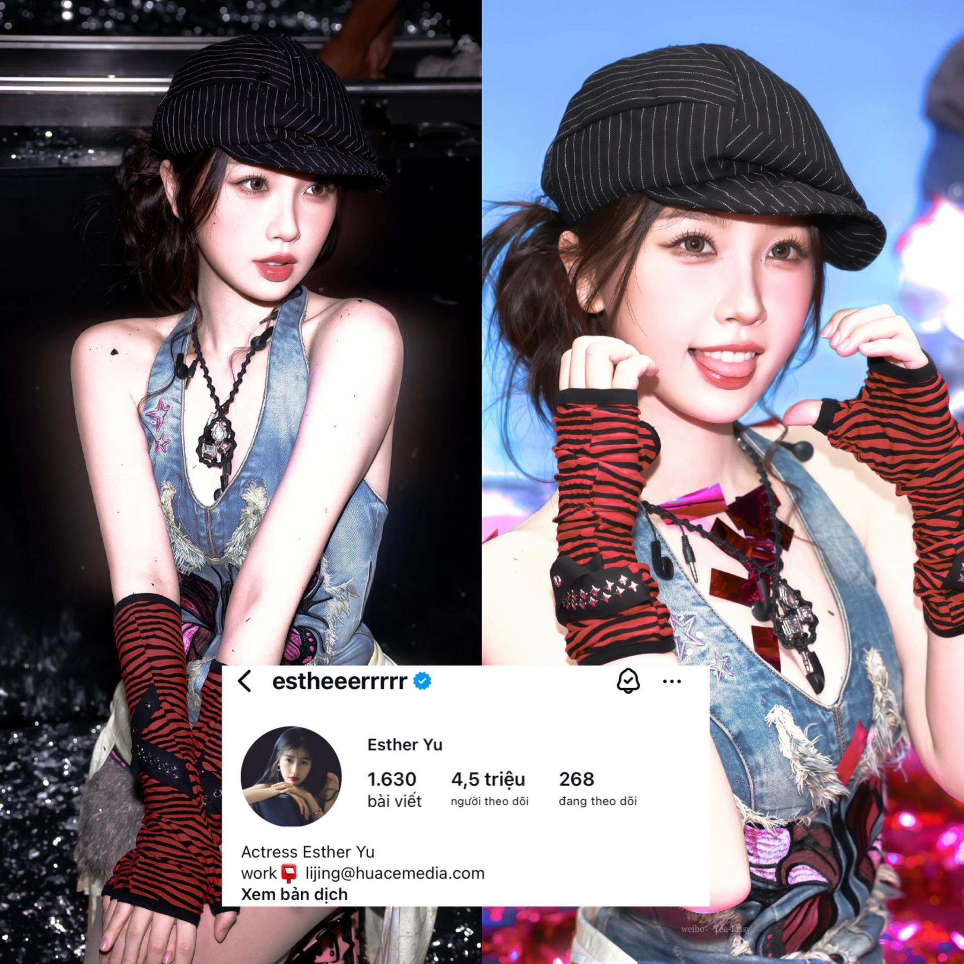 Ngu Thư Hân ghi nhận sự tăng trưởng của các nền tảng MXH (ảnh: Góc Nhỏ Của Ngu Thư Hân)