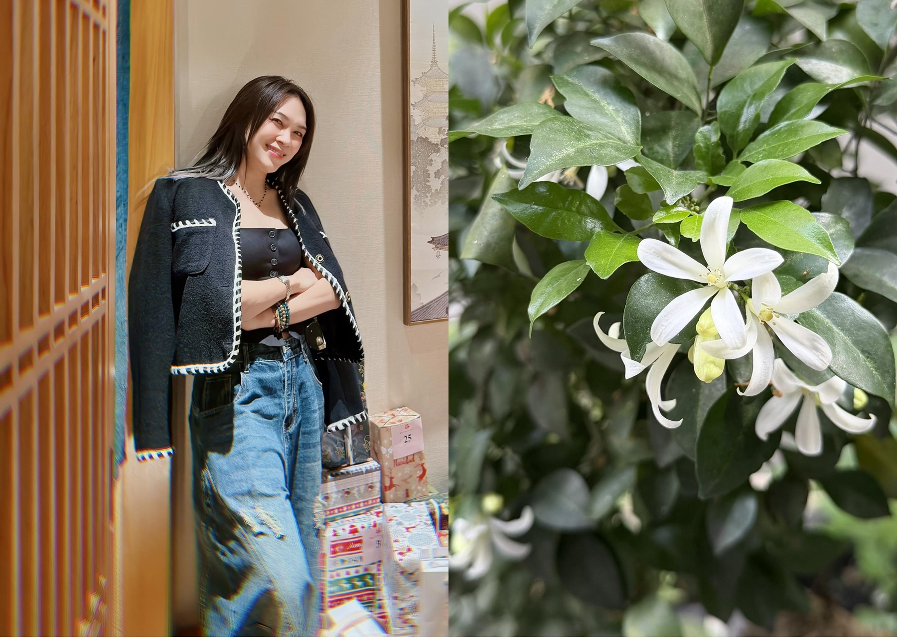 Mỹ Tâm chia sẻ bài đăng nhìn lại 2025 (ảnh: FBNV)