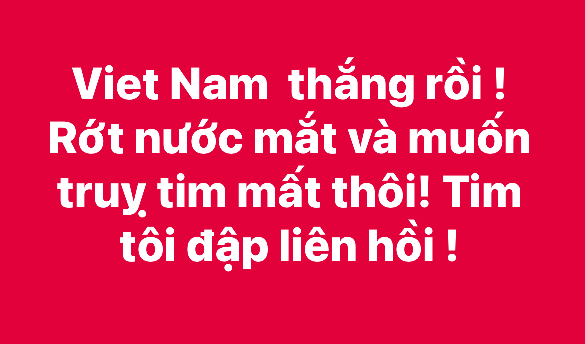  Dân mạng Việt Nam nói gì về chiến thắng 