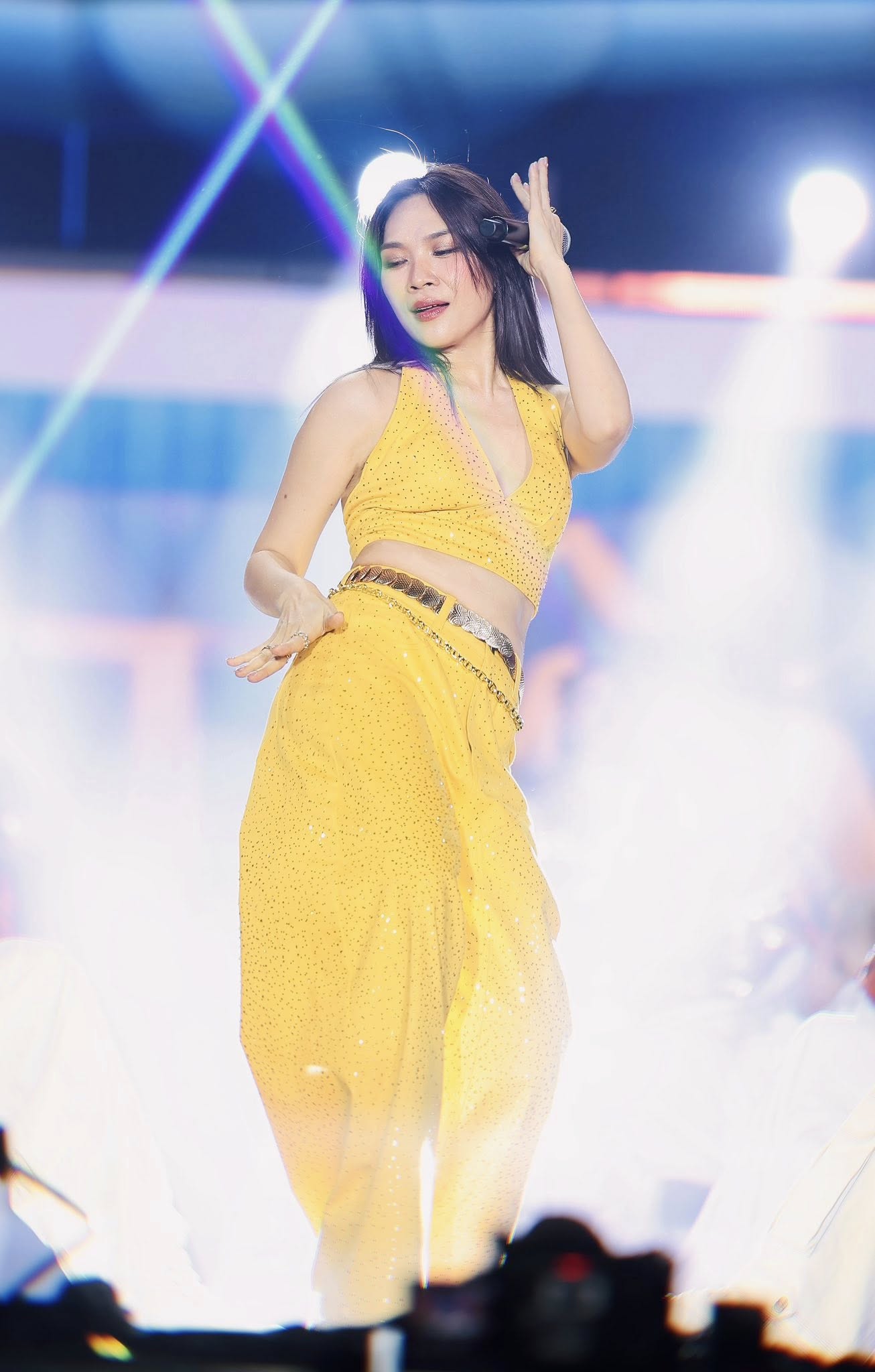 Tiết lộ về cát-xê Mỹ Tâm gây chú ý (ảnh: FBNV)