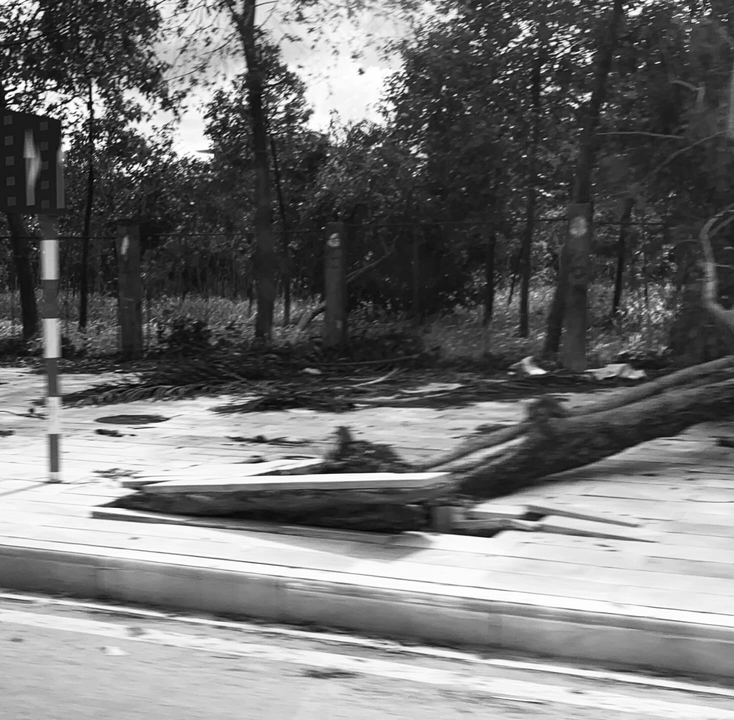 Cảnh tượng sau bão lũ khiến nhiều người xót xa (Nguồn: @Thichjdunay)