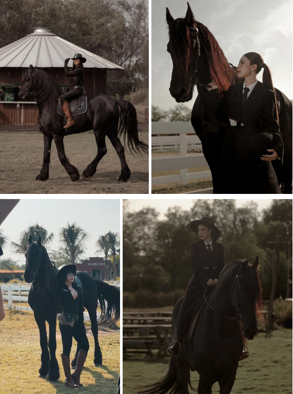   Magic hiện đang là hot KOL tại Vietgangz, chú ngựa đẹp và khi lên hình cực ngầu cỡ này. Nguồn: Helenastudio  