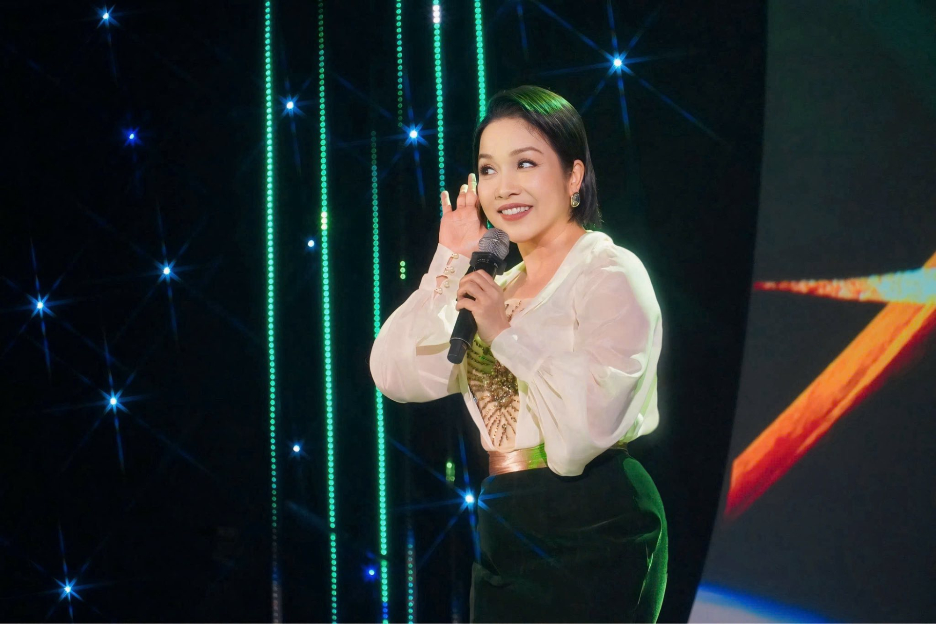 Với giọng hát nội lực và nền tảng chuyên môn vững chắc, Mỹ Linh là diva hàng đầu của nhạc Việt (ảnh: FBNV)