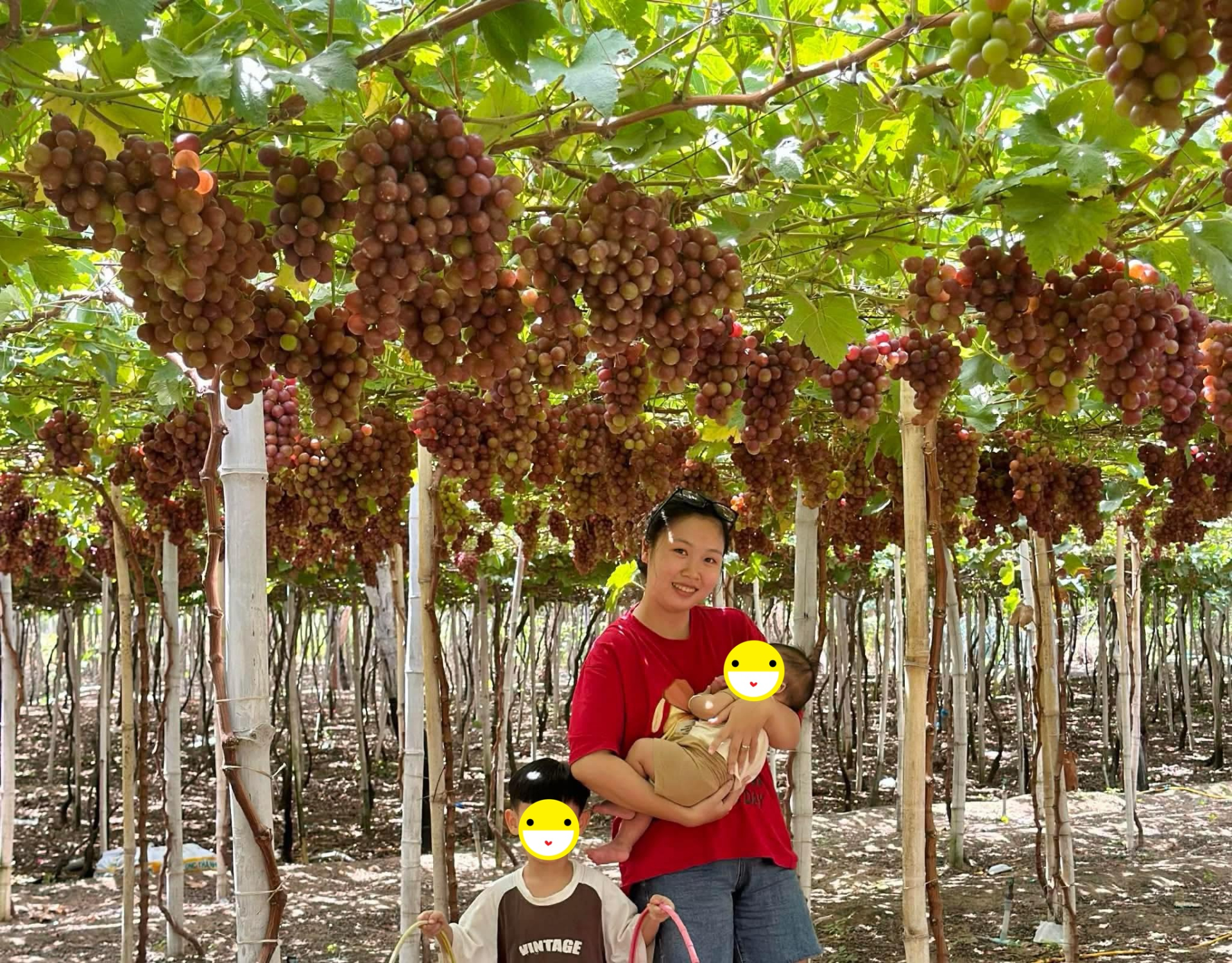 Phạm Như có 2 con nhỏ, công việc kinh doanh bận rộn nên cảm thấy rất may mắn vì tìm được người phụ giúp việc