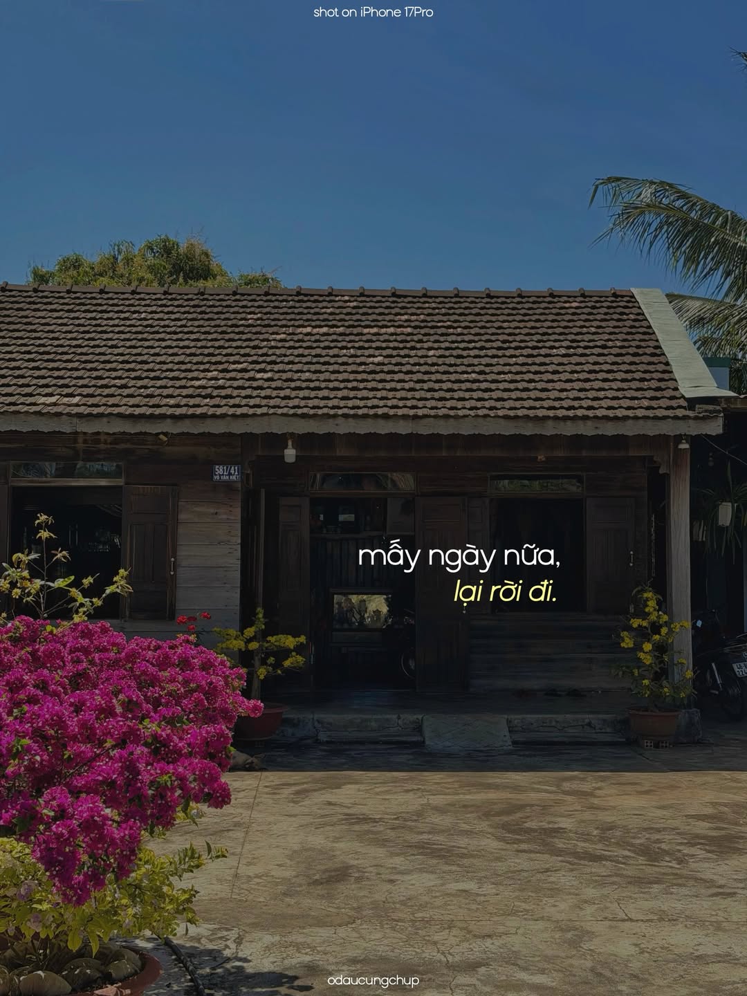 Chào nhé, Tết đi, mình cũng đi: Bộ ảnh đang viral vì ai nhìn vào cũng thấy “lụy” những thân thương này