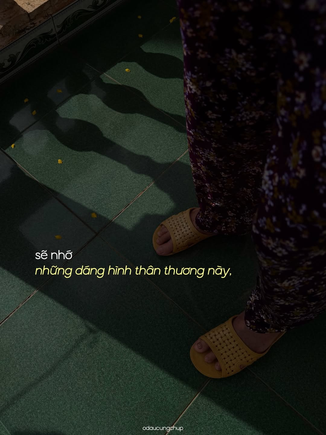 Chào nhé, Tết đi, mình cũng đi: Bộ ảnh đang viral vì ai nhìn vào cũng thấy “lụy” những thân thương này